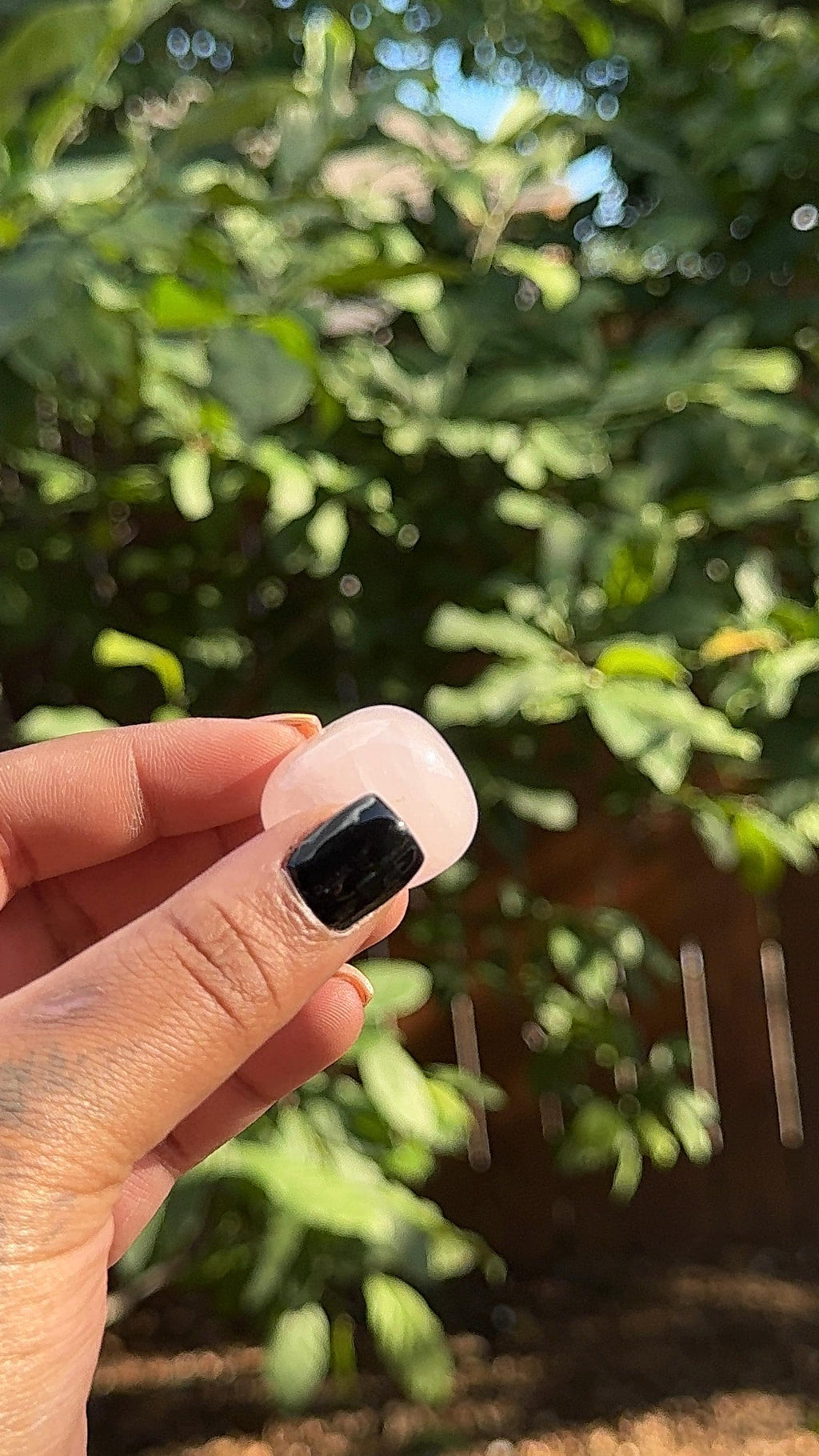 Rose Quartz Tumble Stone