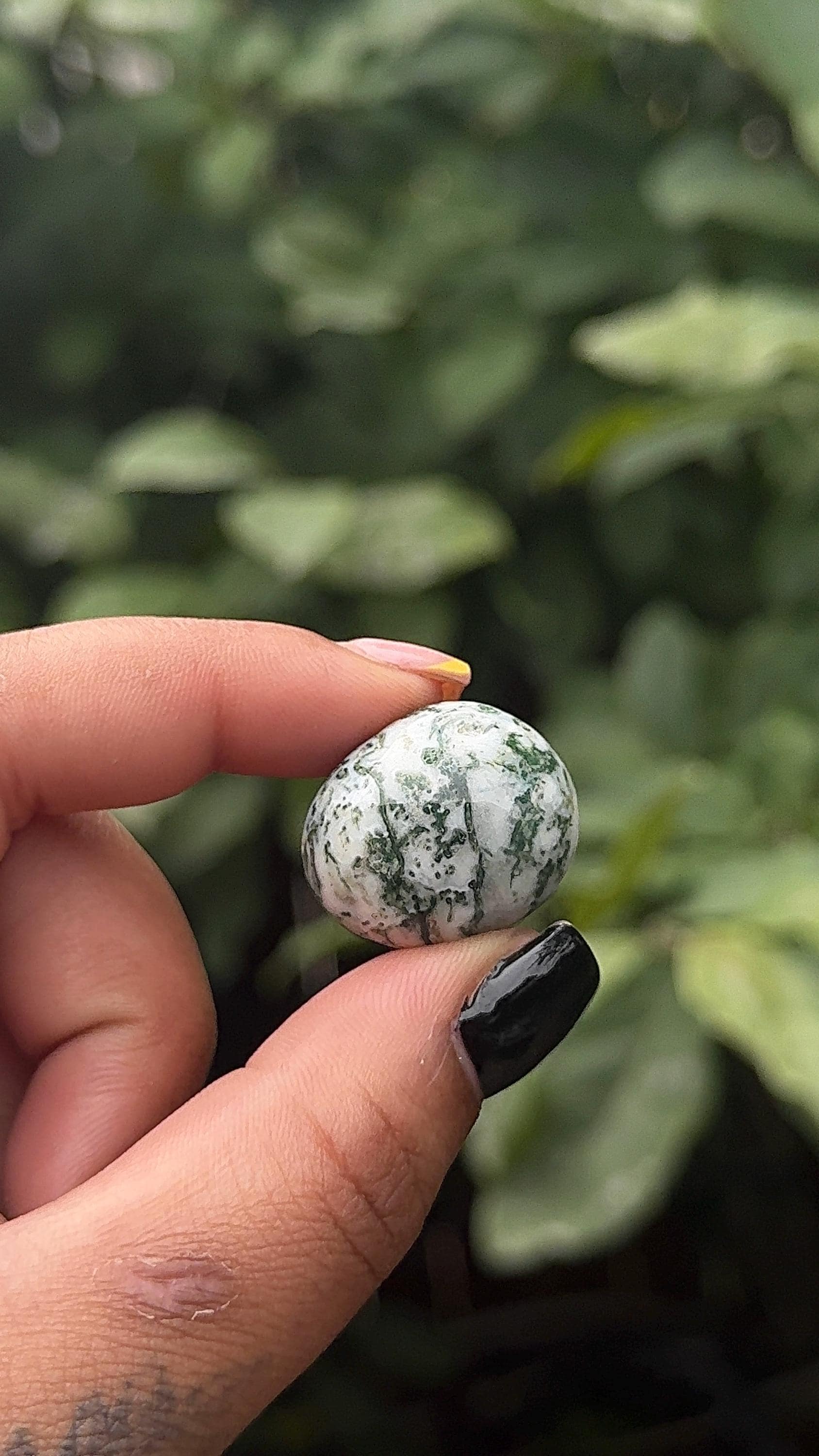 Natural Moss Agate Tumble