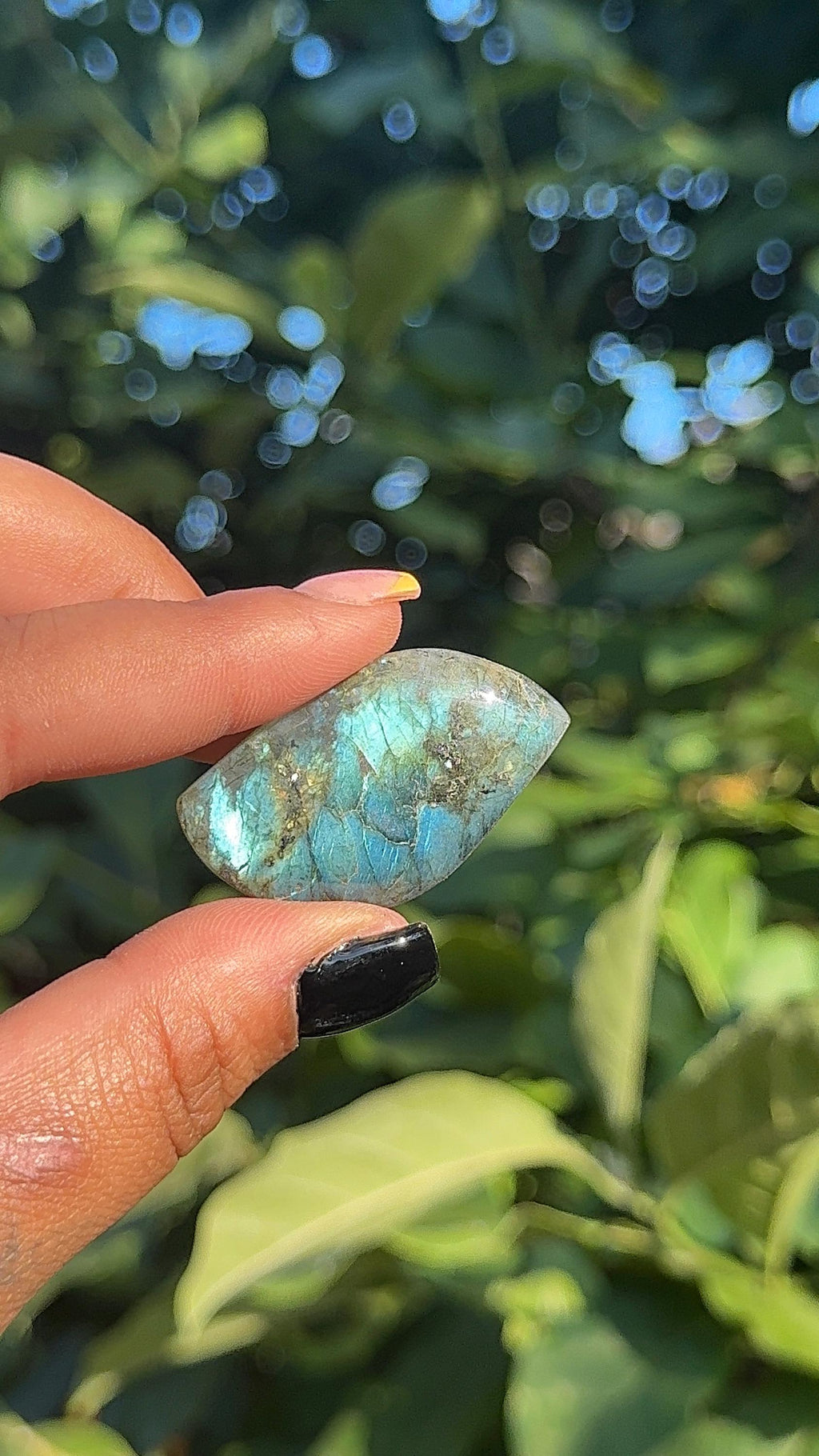 Natural Labradorite Leaf Cabochon